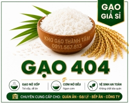 Gạo 404 