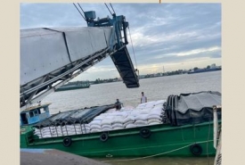 Nhập gạo tận gốc ở đâu?